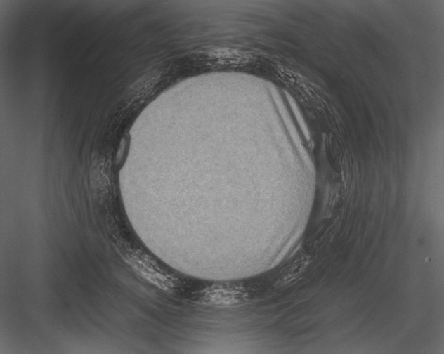 X0000082990756200702230100