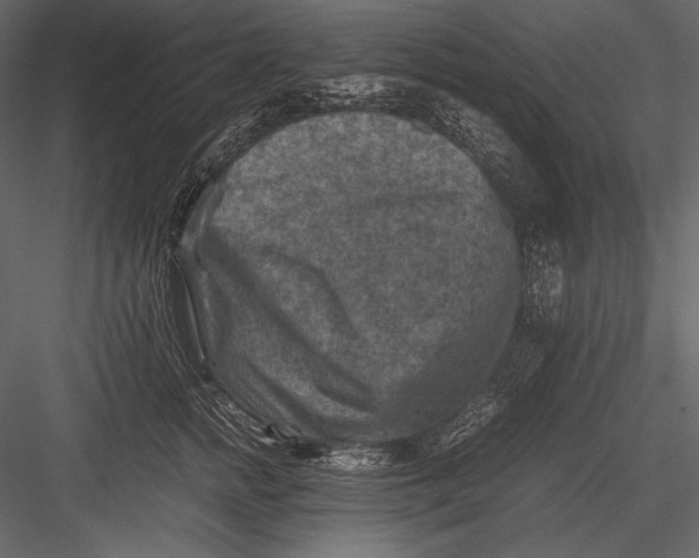 X0000082990758200702230100