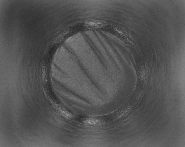 X0000082990759200702230100