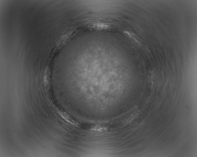 X0000082990760200702230100