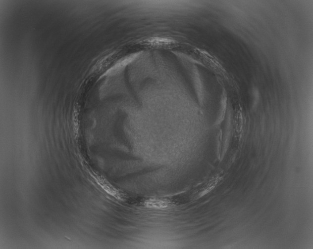 X0000082990762200702230100