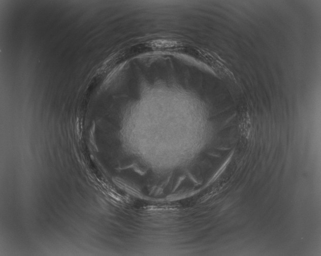 X0000082990763200702230100