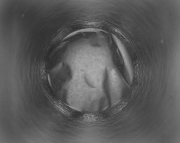 X0000082990764200702230100