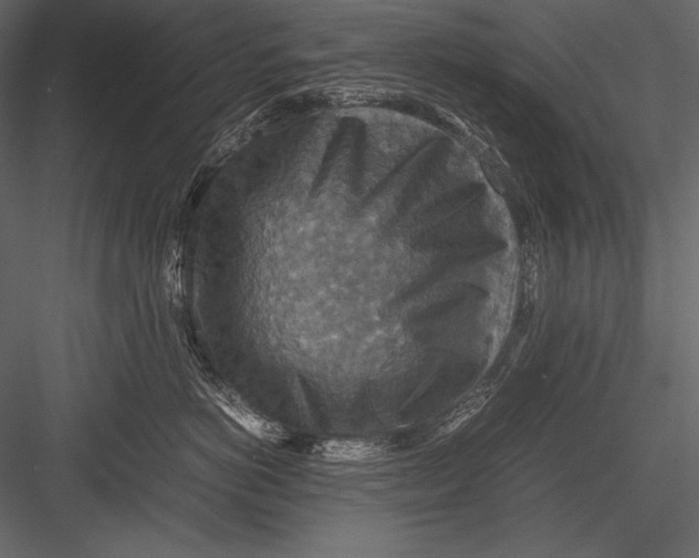 X0000082990766200702230100