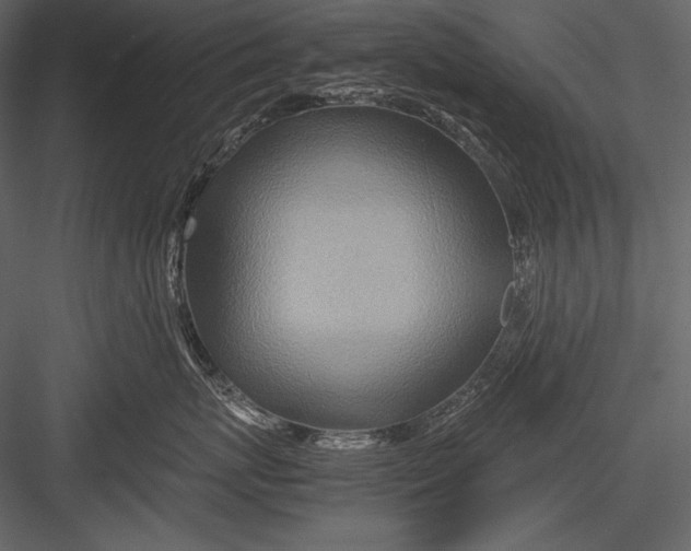 X0000082990767200702230100