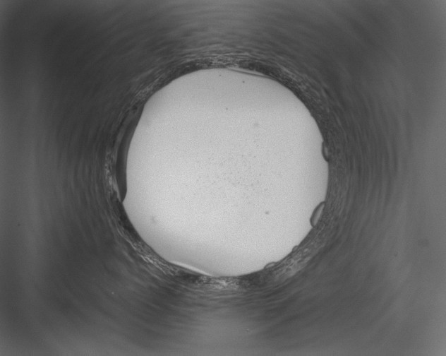 X0000082990768200702230100