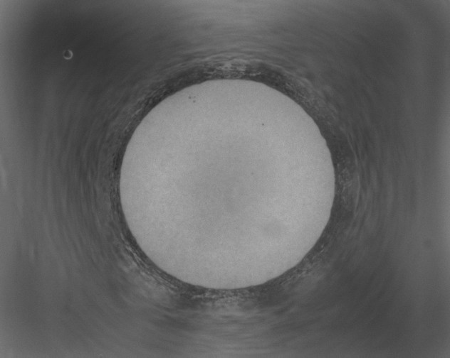 X0000082990769200702230059