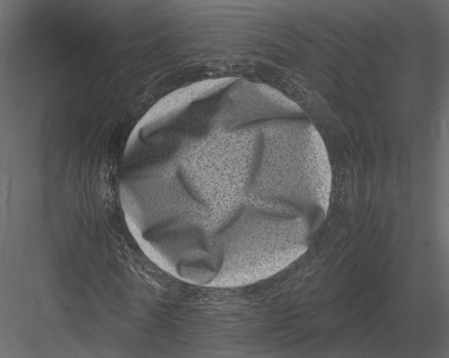 X0000082990770200702230059