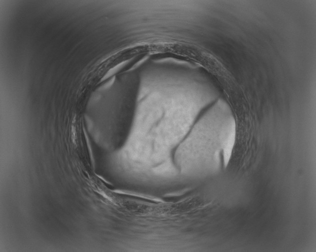 X0000082990773200702230059