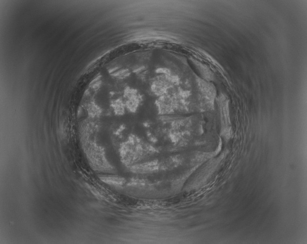 X0000082990775200702230059