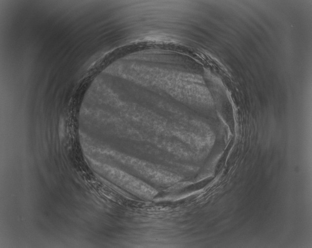 X0000082990776200702230059