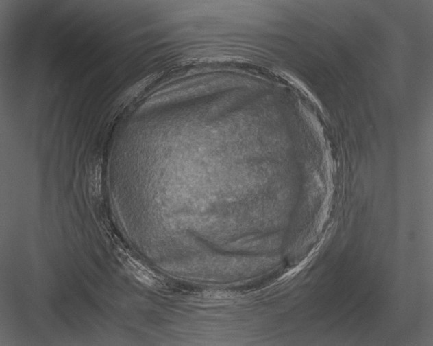 X0000082990777200702230059