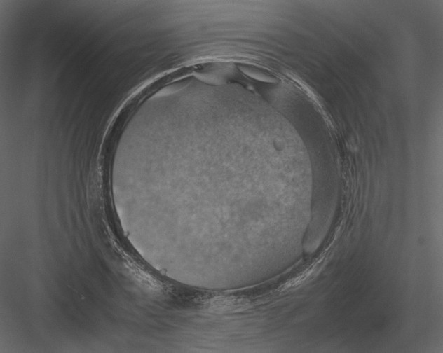 X0000082990779200702230059