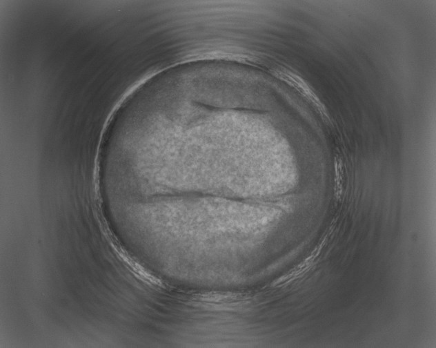 X0000082990780200702230059