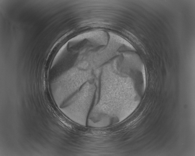 X0000082990782200702230059