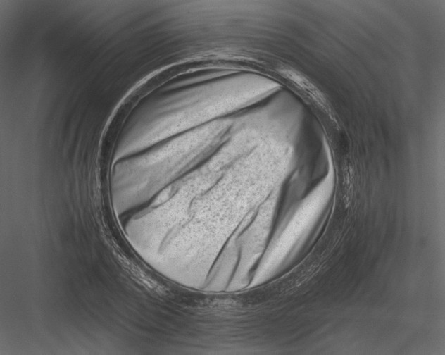 X0000082990784200702230059