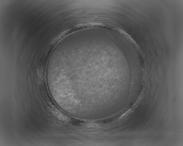 X0000082990785200702230059