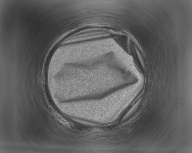 X0000082990787200702230059