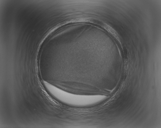 X0000082990789200702230059