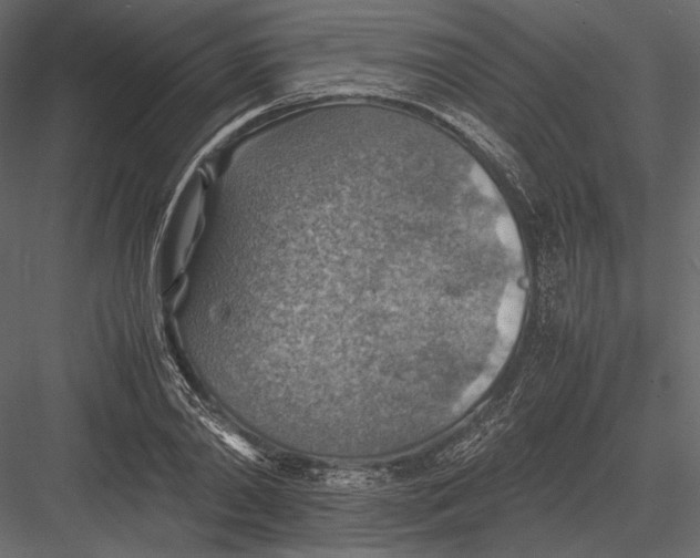 X0000082990790200702230059