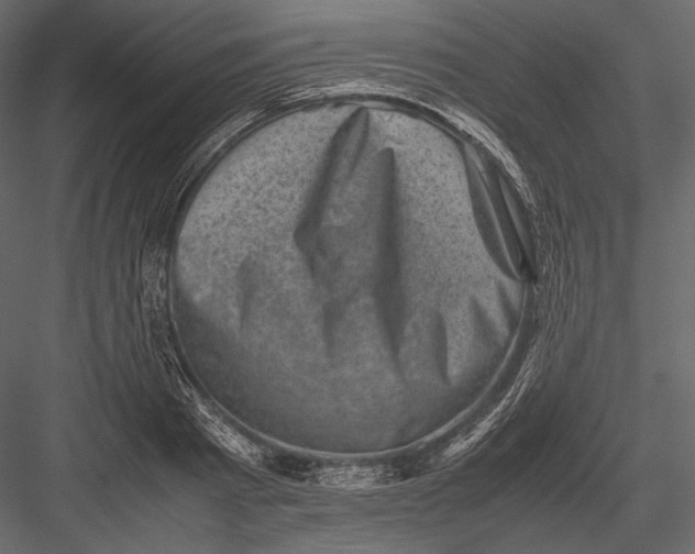 X0000082990793200702230059