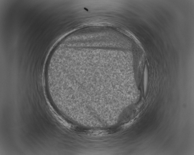 X0000082990795200702230058