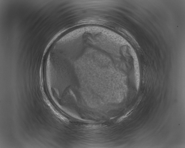 X0000082990796200702230058