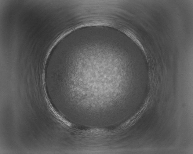 X0000082990797200702230058