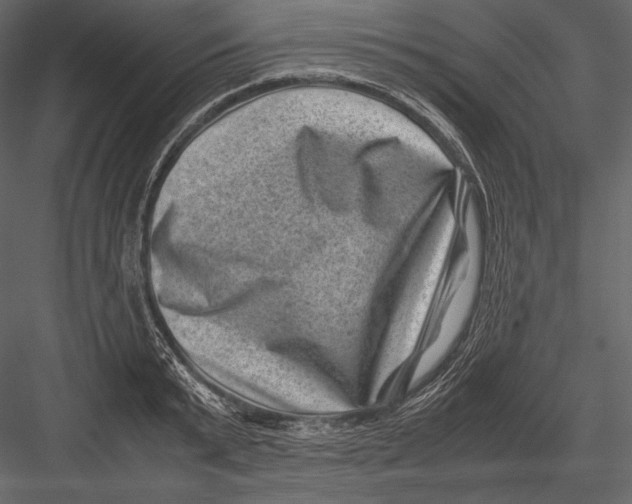 X0000082990799200702230058