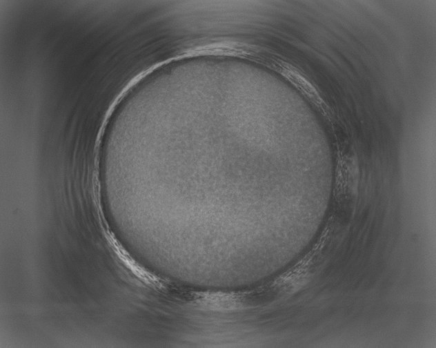 X0000082990800200702230058