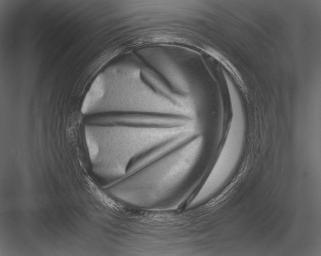 X0000082990801200702230058