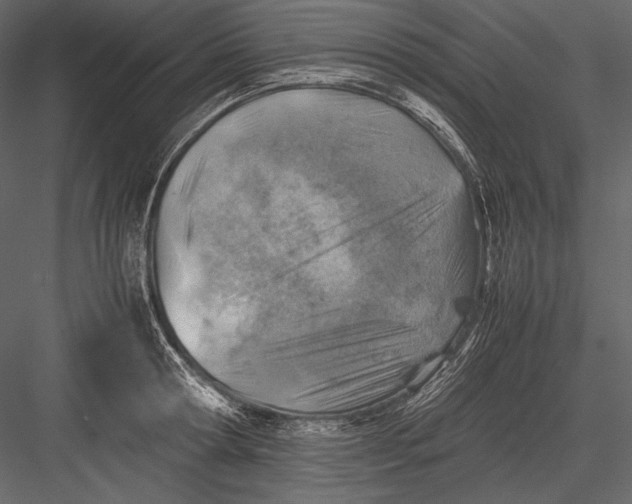 X0000082990802200702230058