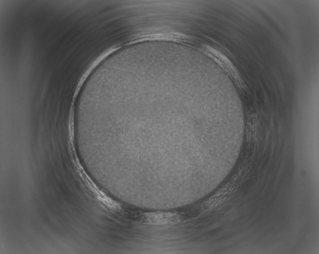 X0000082990804200702230058