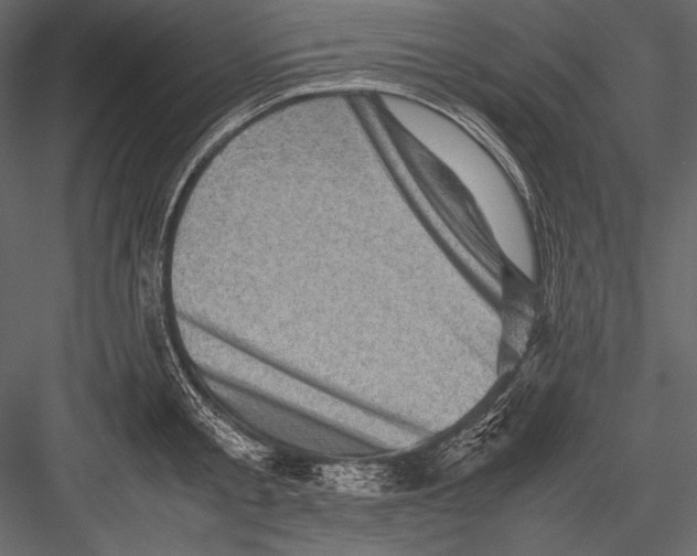 X0000082990805200702230058