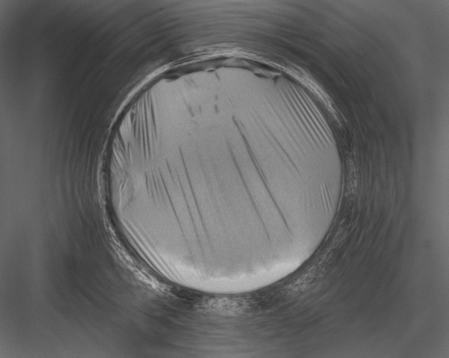 X0000082990806200702230058