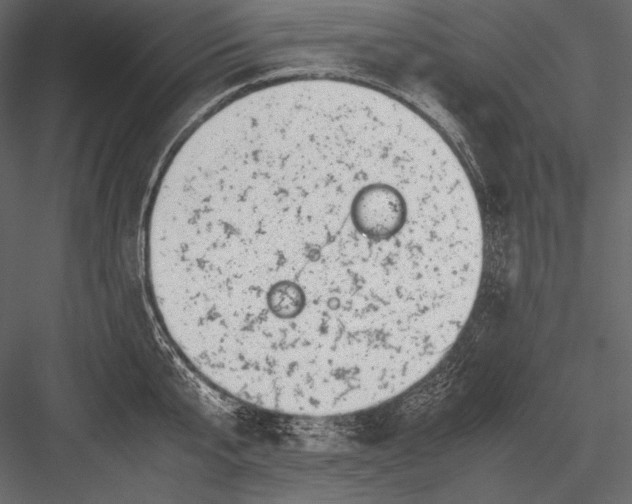 X0000082990807200702230058