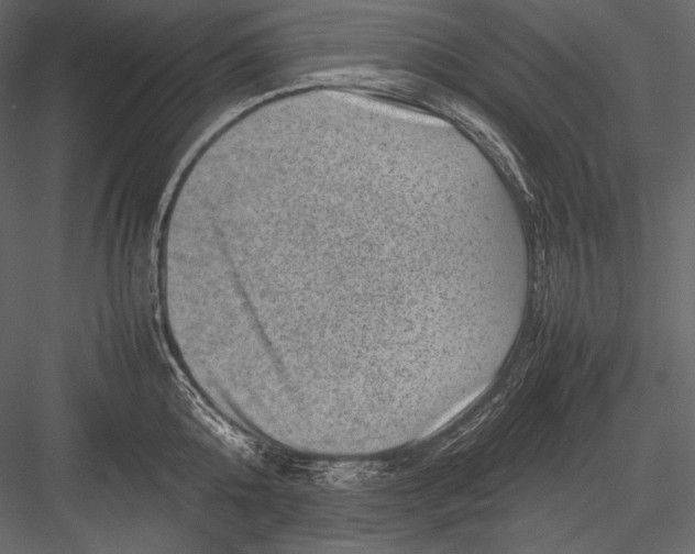 X0000082990808200702230058