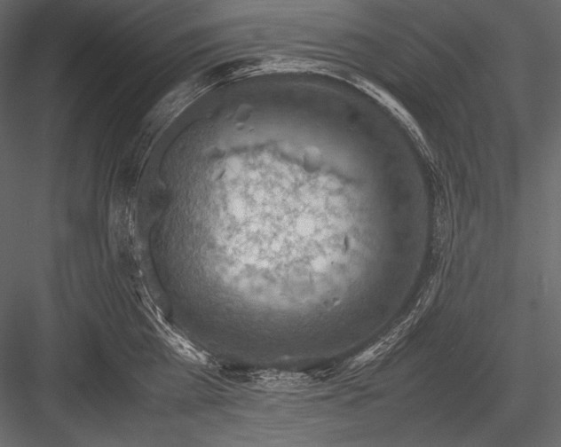 X0000082990809200702230058