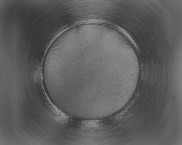 X0000082990810200702230058