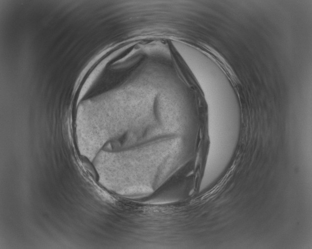 X0000082990812200702230058