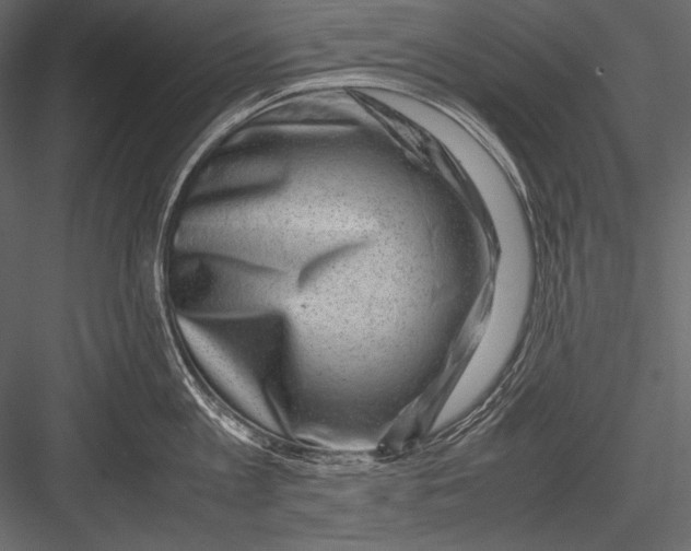 X0000082990813200702230058