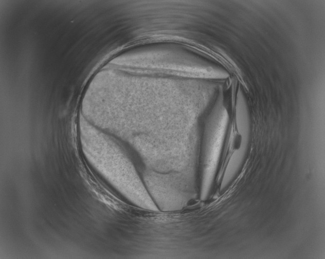 X0000082990814200702230058