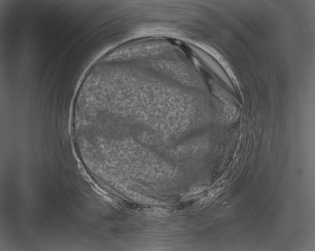 X0000082990815200702230058