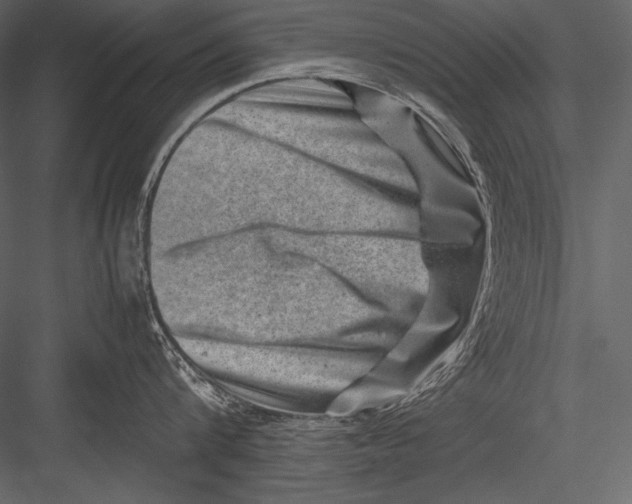 X0000082990816200702230058