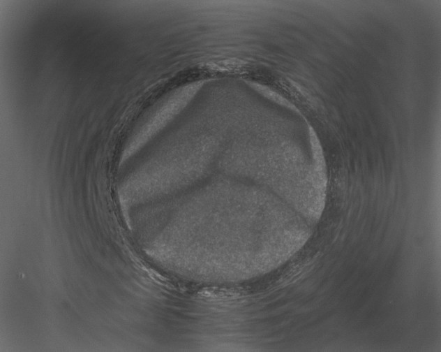 X0000082990817200702230057