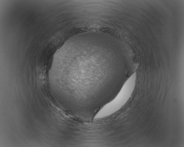 X0000082990818200702230057