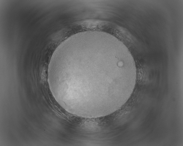 X0000082990820200702230057