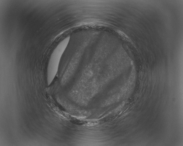 X0000082990822200702230057