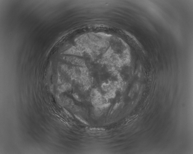 X0000082990823200702230057