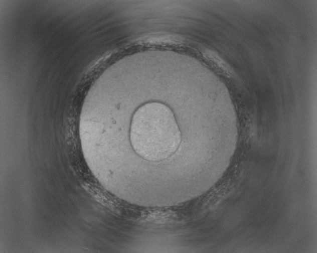 X0000082990824200702230057